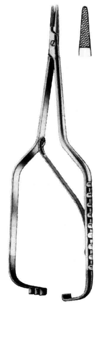 BOYNTON PORTEKÜ H.M 17 CM